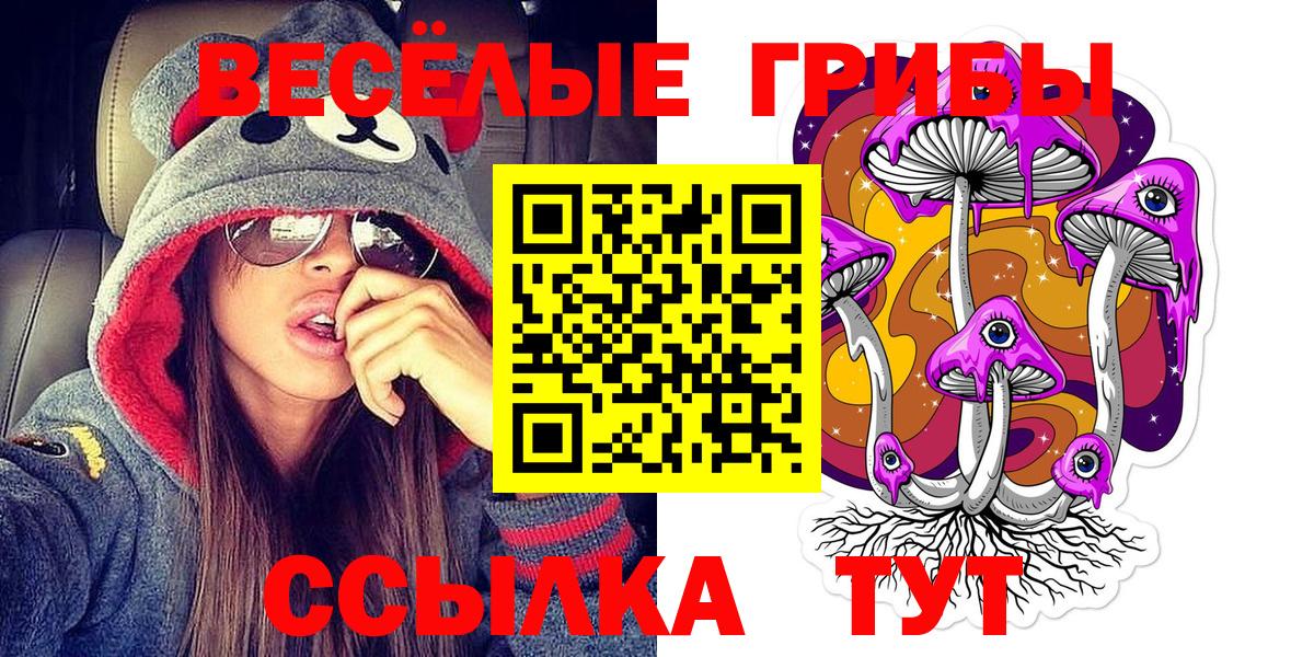 Псилоцибиновые грибы прущие грибы  даркнет сайт  Нефтекамск  Вход с VPN 